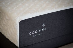 Cocoon_Dave&Jess_171_Detail_FEB16.jpg