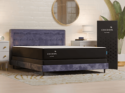 Cocoon_Mattress_Bundle.max-800x600