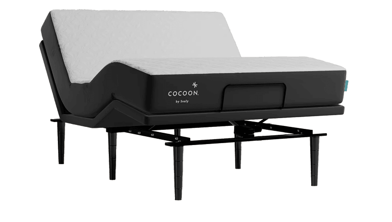 Cocoon Chill Memory Foam + Ease® Power Base